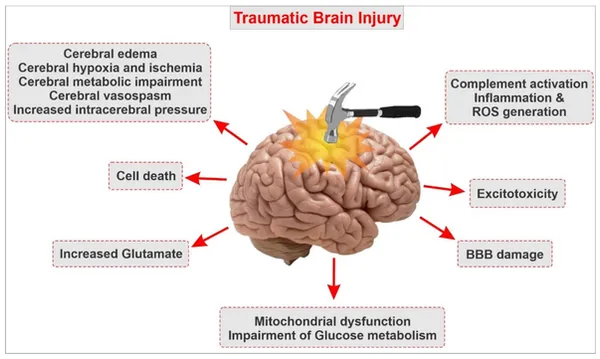 Neuroinflammation and TBI